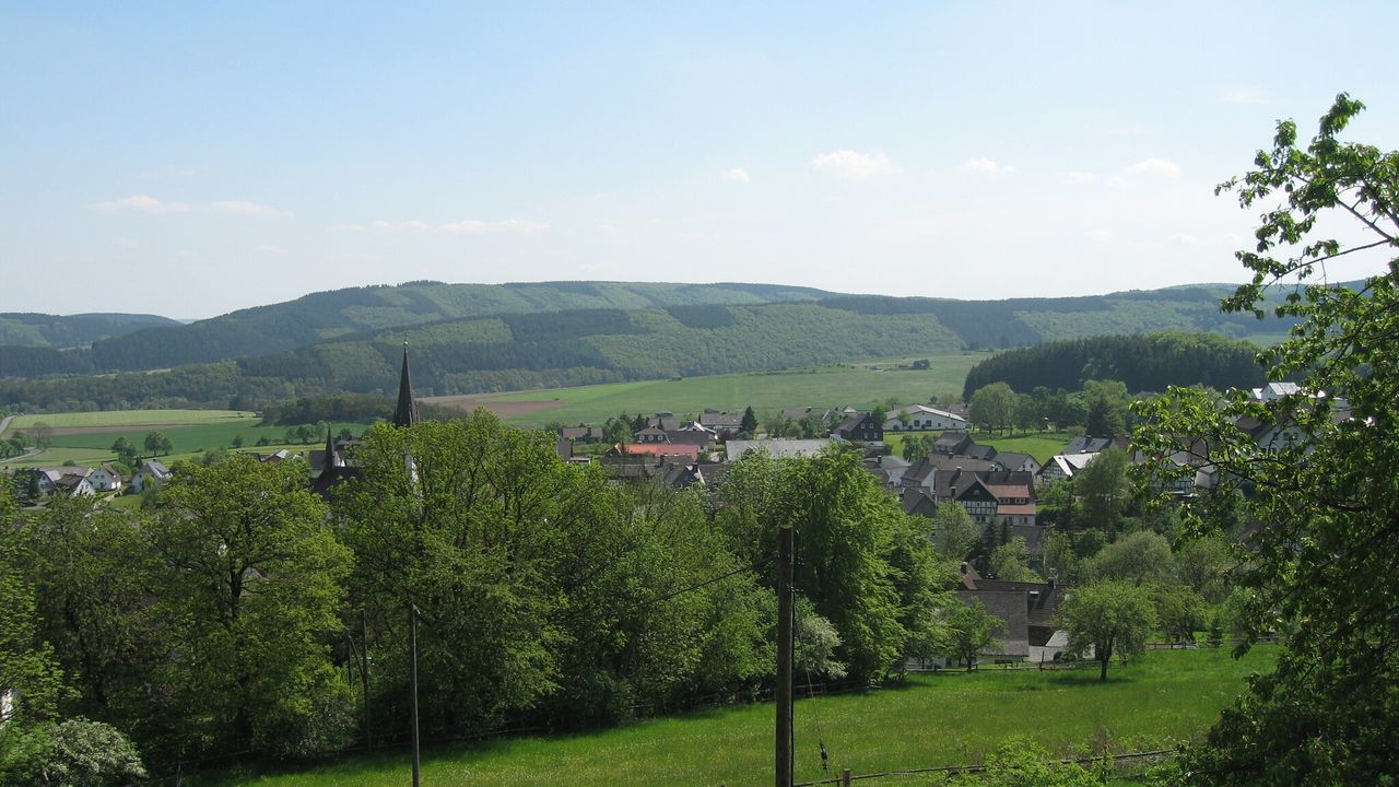 ViewSummer ViewSummer